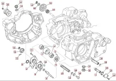 SWM SM500R Ölpumpe Euro 4