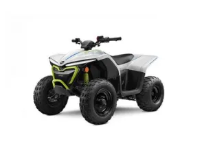 CFMOTO EV110