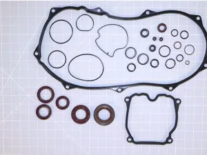 ENGINE OIL SEAL AND O-RING